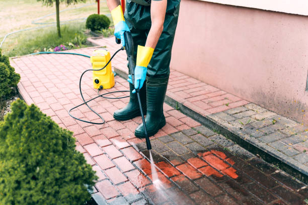 Best Sidewalk and Walkway Cleaning  in Panacea, FL