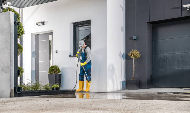 Professional Pressure Washing Services in Panacea, FL